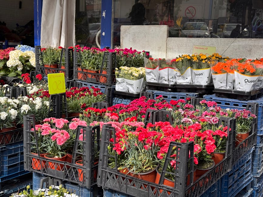 Display of vibrant potted flowers in terracotta and white paper sleeves arranged on black plastic crates outside a flower shop, featuring pink, red, orange, white, and yellow blooms, with glossy green