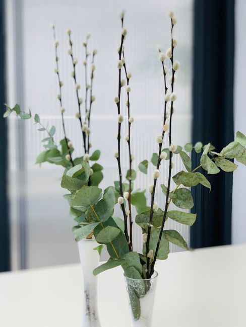 A minimalist floral arrangement featuring several tall, slender pussy willow branches with soft, round, white catkins extending vertically, complemented by sprigs of eucalyptus with round, muted green