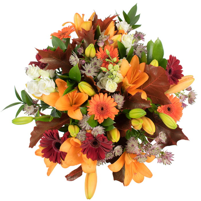 Seen from slightly above against a stark white backdrop, this abundant fall bouquet reads like a small harvest gathered and arranged with care by a Barbican florist. The arrangement is dominated by several large, fully opened orange Asiatic lilies, their broad, trumpet-shaped petals curving outward with a satiny sheen, while numerous compact lily buds in lime-green and soft apricot promise unfolding drama. Bright orange Gerbera daisies and deeper burgundy-red Gerberas punctuate the mass with cheerful, sun-like faces, each petal layer crisp and precise. Creamy white lisianthus add delicate, cloud-like texture with their ruffled petals, and pale purple Astrantia floats through the bouquet in airy, star-shaped clusters that give the composition a subtle, botanical intricacy. Interspersed are generous, deeply lobed leaves in rich maroon and chestnut tones-strongly suggestive of fallen oak or maple-paired with vibrant green foliage that lifts the palette and holds the arrangement together. The bouquet is tightly constructed to feel lush and rounded, catching studio light so colours appear saturated yet natural, conveying warmth, celebration, and the quiet luxury of the season. Crafted with neighbourhood sensibilities in mind, Flower Delivery Barbican would recommend this piece for Thanksgiving centrepieces, autumnal weddings near the Barbican Centre, or as a heartfelt gift for someone on London Wall who appreciates the tactile pleasure of well-chosen, in-season flowers.