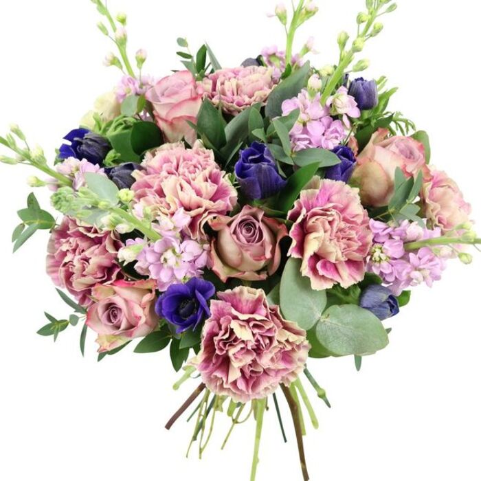 Photographed against a bright white backdrop, this hand-tied bouquet appears as an elegant study in colour and form, resonating with the artistic spirit of the Barbican's galleries and performance spaces. The focal point is a cluster of full garden roses, their petals layered in delicate spirals that gradually open outward. These roses span a palette from gentle blush pink to dusky mauve and antique rose, conveying a sense of romance and quiet sophistication. Interspersed between them, voluminous carnations provide a lush, cloudlike texture. Each carnation shows an intricate gradation of colour, beginning with creamy or pale beige centres and fading into soft blush before deepening into rose-pink and plum tones at the edges of their subtly rippled petals, which catch and soften the light. Contrasting with these warm, gentle shades, deep indigo and royal blue flowers are artfully placed throughout the bouquet. Some appear as smooth, tulip-like buds or compact blossoms, while one standout anemone near the lower front opens wide, its rich blue petals encircling a dark, almost black centre that gives the design visual depth and a touch of drama. Adding lightness and vertical interest, slender stems of lilac and pale lavender stock rise above and through the main blooms, their numerous tiny flowers forming delicate, scented clusters. A frame of verdant foliage - rounded, silvery eucalyptus leaves and darker, glossy leaves from the roses or complementary greenery - surrounds the flowers, introducing contrast, structure, and a cool, refreshing feel, like the air inside the Barbican Conservatory. At the bottom, the green stems are clearly visible where they are bound together, signalling a freshly crafted bouquet, ready to be delivered around Barbican for weddings, anniversaries, seasonal celebrations, or as an elegant, thoughtful gift.